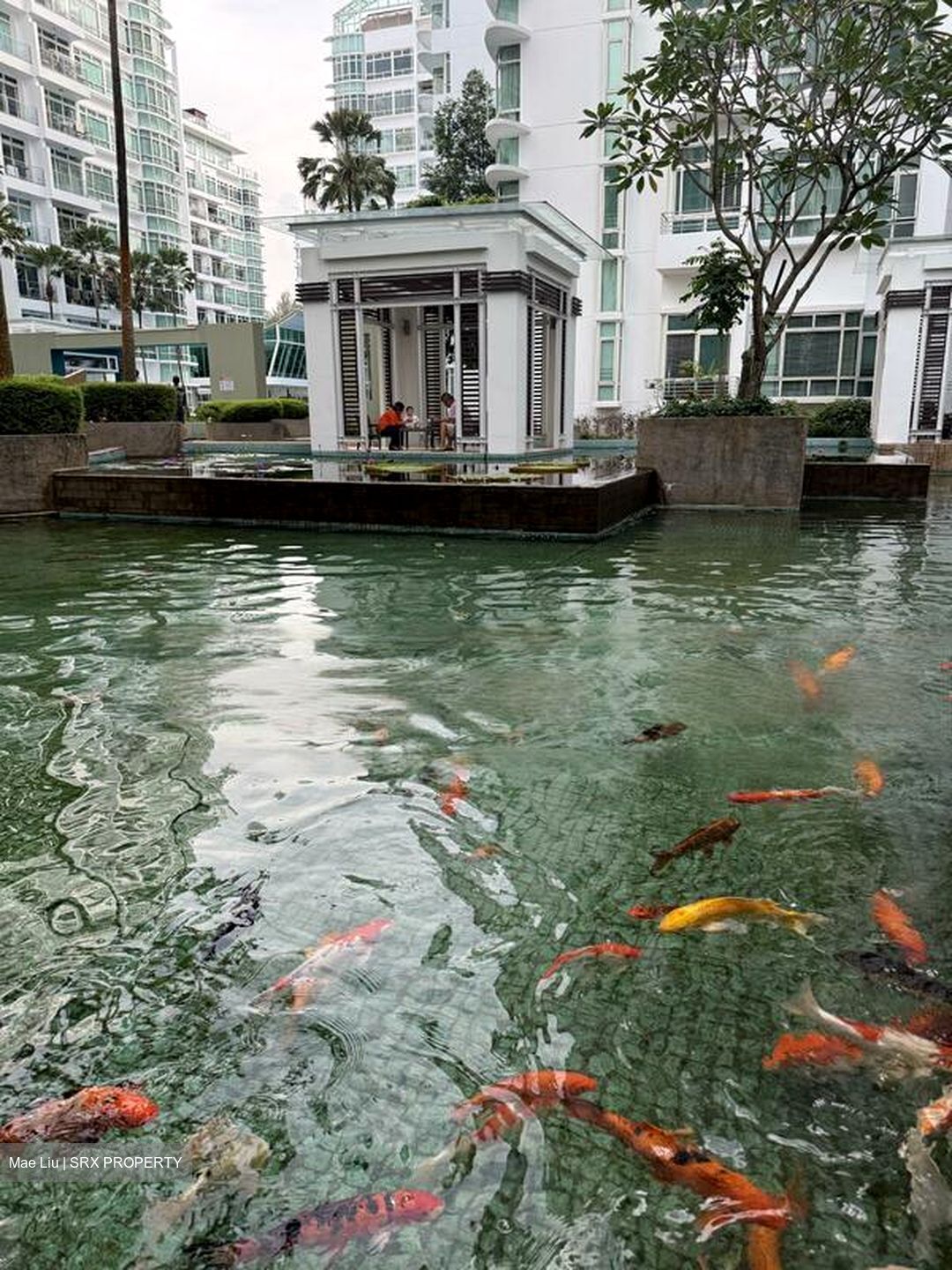 The Cascadia (D21), Condominium #466471691